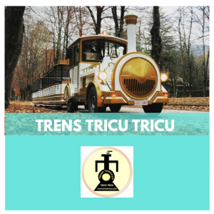 TRENS TURISTICS TRICU TRICU - TRENS PER FIRES I FESTES - TRENS LLOGUER ESDEVENIMENTS