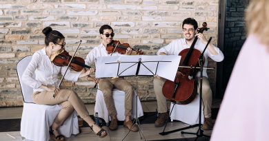 the standars - grup de musica classica- grup de versions per festes