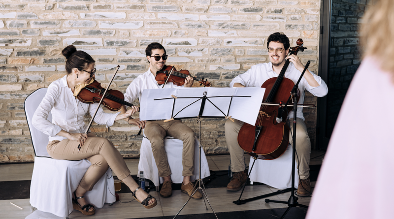 the standars - grup de musica classica- grup de versions per festes