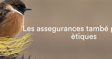 ASSEGURANCES PER FESTES MAJORS - ASSEGURANCES PER ESDEVENIMENTS - ASSEGURANCES PER FIRES I FESTES