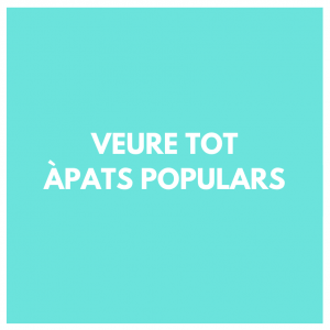 PROVEIDORS FESTES MAJORS - FIRES I FESTES PROVEIDORS - CATALEG DE PROVEIDORS FESTES - PROVEIDORS DE CATALUNYA