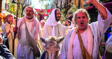 FIRA ESPARREGUERA - FIRES I FESTES AQUEST CAP DE SETMANA - QUE FER AVUI