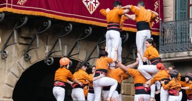 mercat del ram de vic -que fer aqeust cap de setmana - fires i festes - festes majors aquest cap de setmana