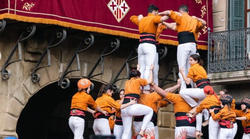 mercat del ram de vic -que fer aqeust cap de setmana - fires i festes - festes majors aquest cap de setmana