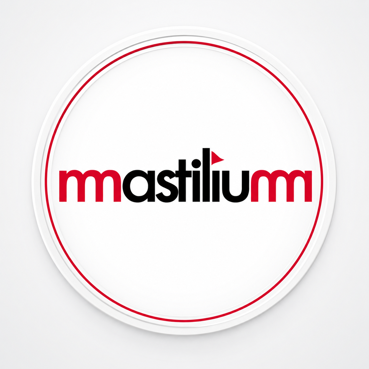 MASTILES Y BANDERAS MASTILIUM - 