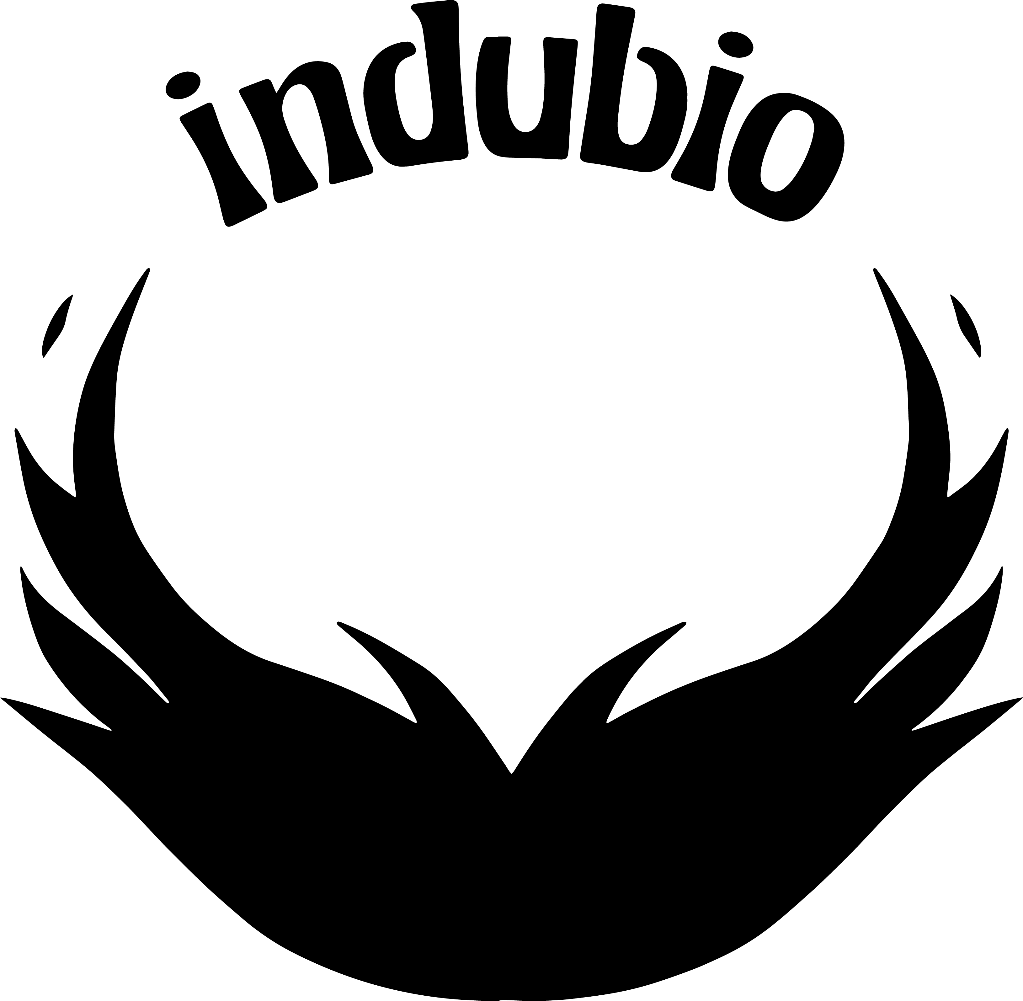 Indubio - grup de musica per festes - grup de musica per esdeveniments - grup de musica per festes majors - grups de musica catalunya